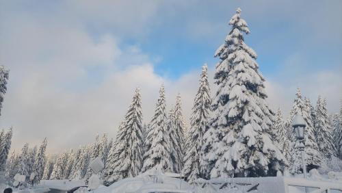 Apartmani Haski Konaci Kopaonik smeštaj u centru na dan pored staze i ski lifta