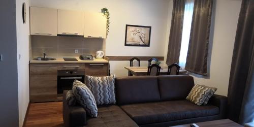 Kraljevi Čardaci SPA Apartment 1027 Kopaonik Vikend naselje smeštaj za 6 osoba na dan